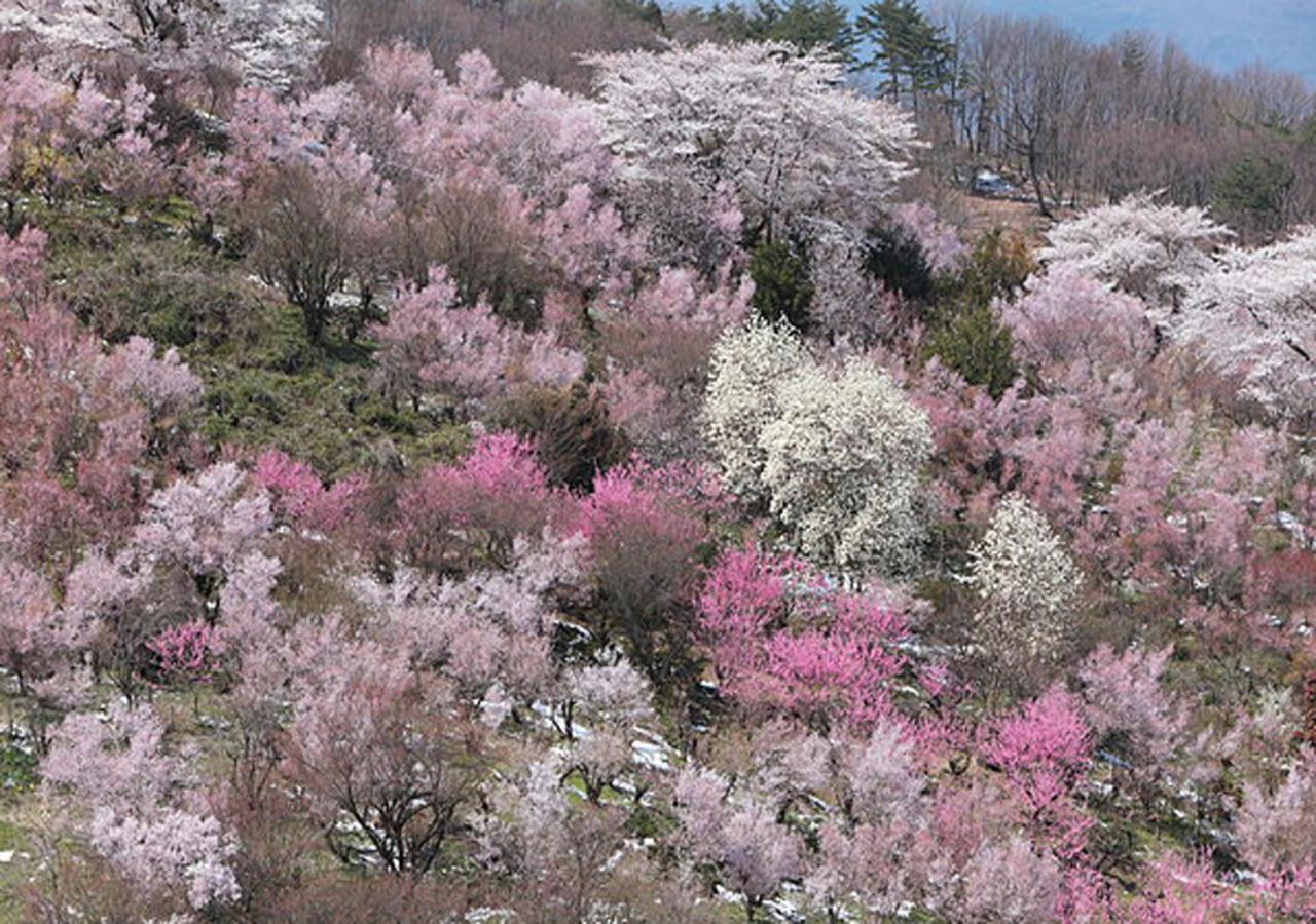 土湯温泉 やすらぎの宿 向瀧旅館 Фукусима Экстерьер фото